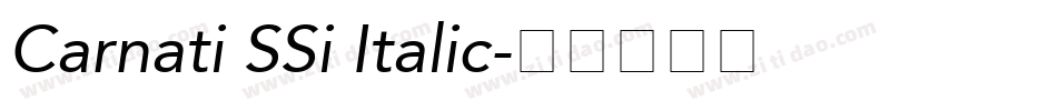 Carnati SSi Italic字体转换